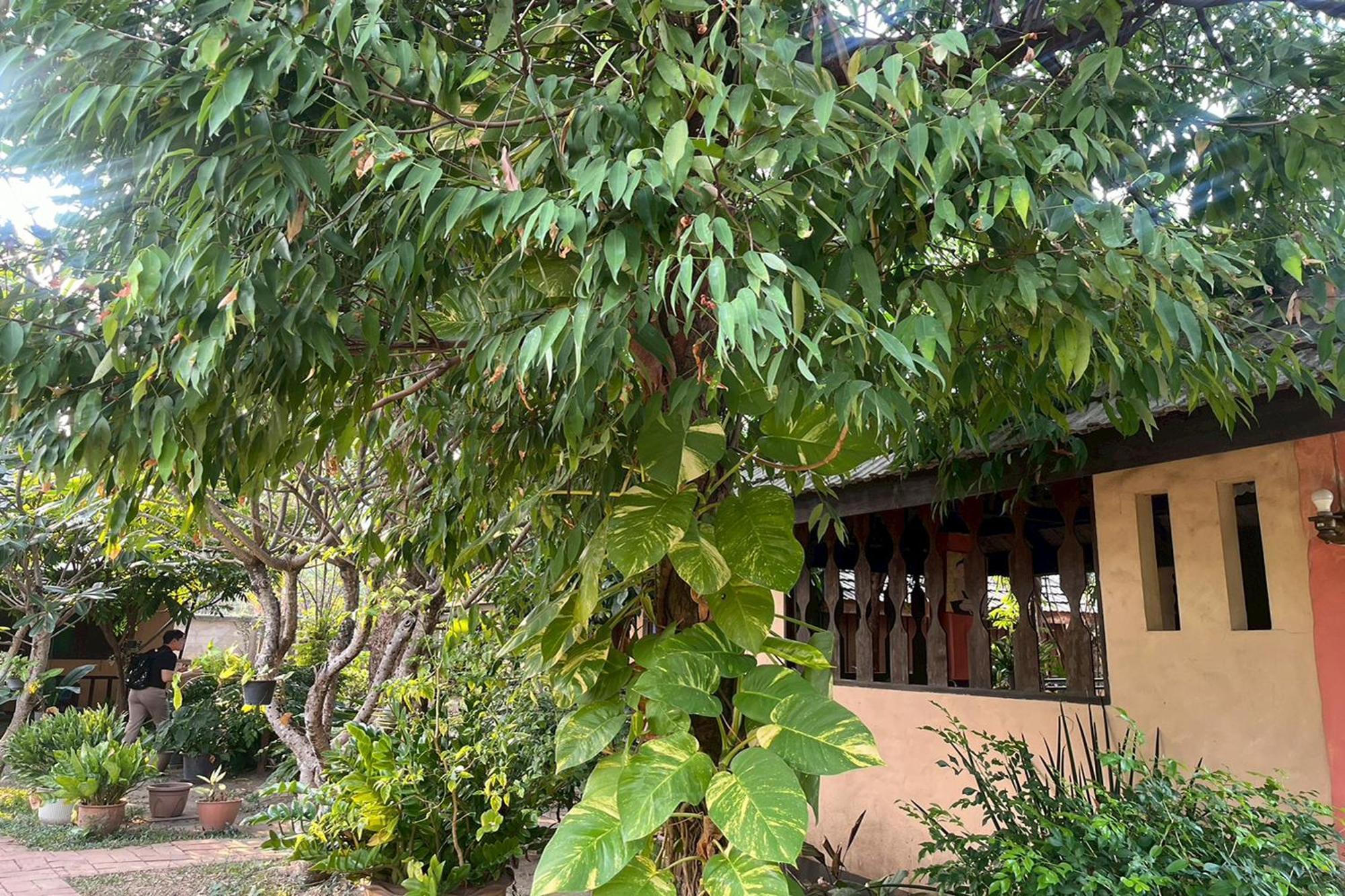 The Royal Shilton Resort Chiang Mai Exterior photo
